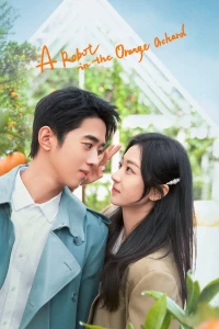 Xin Chào, Người Yêu Quất Tử Của Tôi / Xin Chào Người Tình Trái Quýt